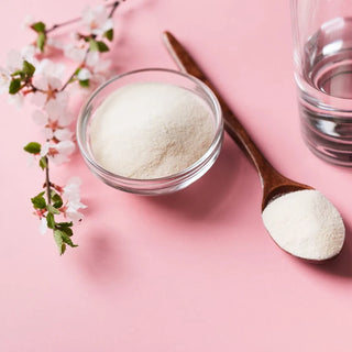 UNDENATURED TYPE II COLLAGEN